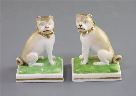 A pair of Derby porcelain figures of seated pug dogs, c.1830, modelled by Edward Keys, H. 8cm